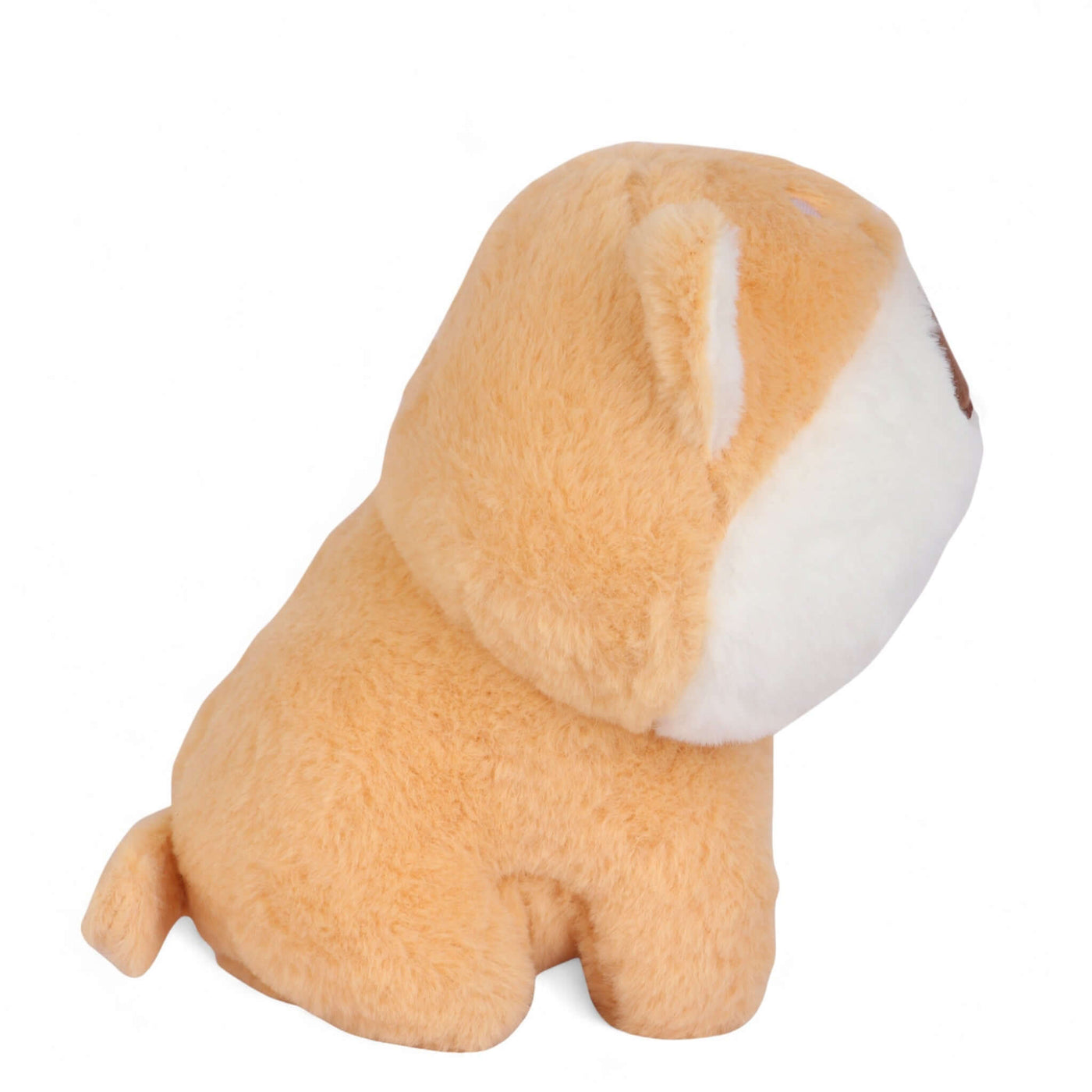 Cute Shibu Plush Toy I 20 CM