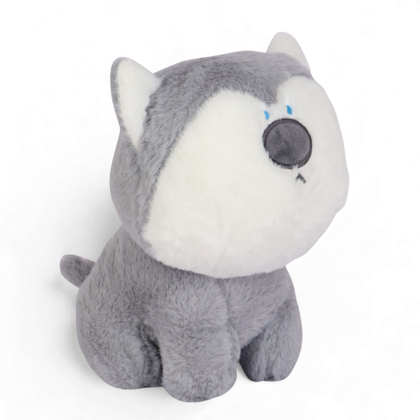 Cute Shibu Plush Toy I 20 CM