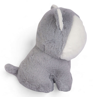 Cute Shibu Plush Toy I 20 CM